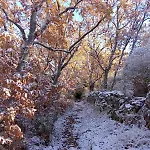 Relajante Luminosa En La Naturaleza Apartmán
