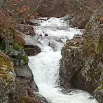 Relajante Luminosa En La Naturaleza * Pradosegar
