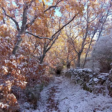 Relajante Luminosa En La Naturaleza 아파트